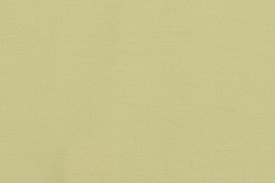 13957/C1 - Хлопковая плащевая ткань