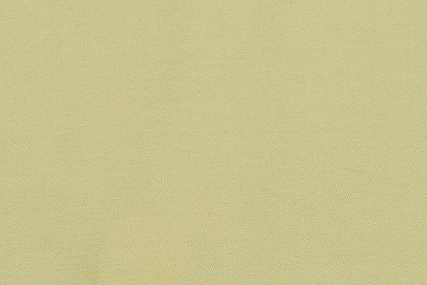 13957/C1 - Хлопковая плащевая ткань